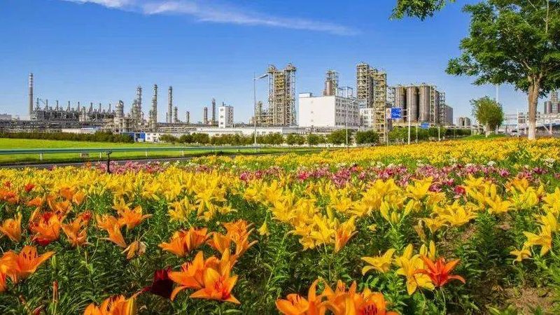 工业添加剂材质分类解析：揭秘工业生产的“隐形助手
